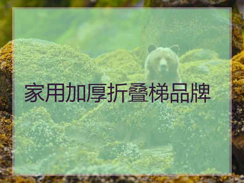 家用加厚折叠梯品牌