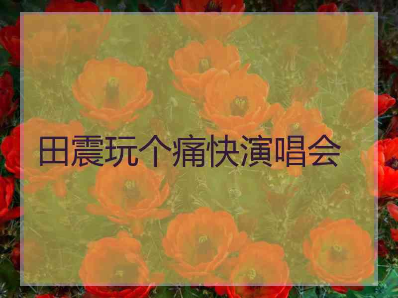 田震玩个痛快演唱会