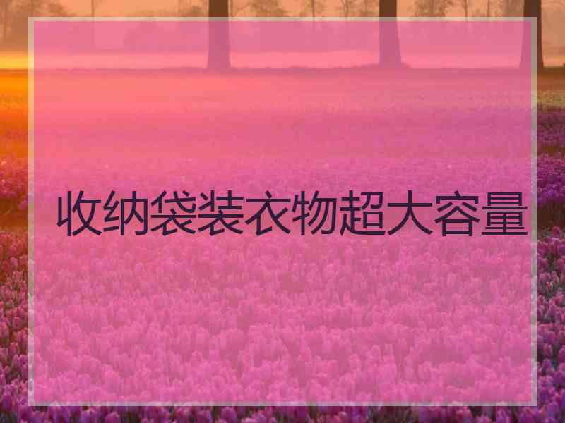 收纳袋装衣物超大容量