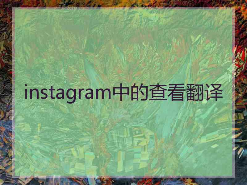 instagram中的查看翻译