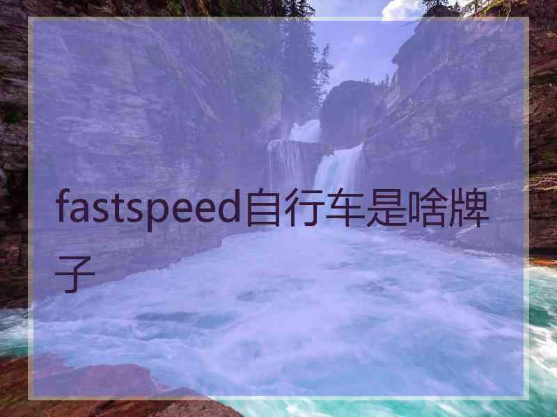 fastspeed自行车是啥牌子