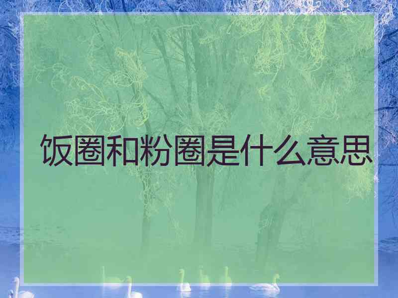 饭圈和粉圈是什么意思