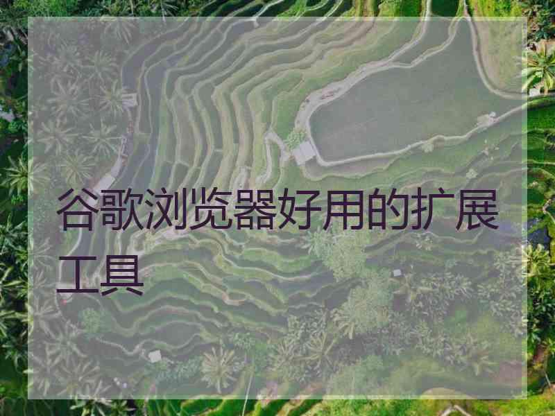 谷歌浏览器好用的扩展工具