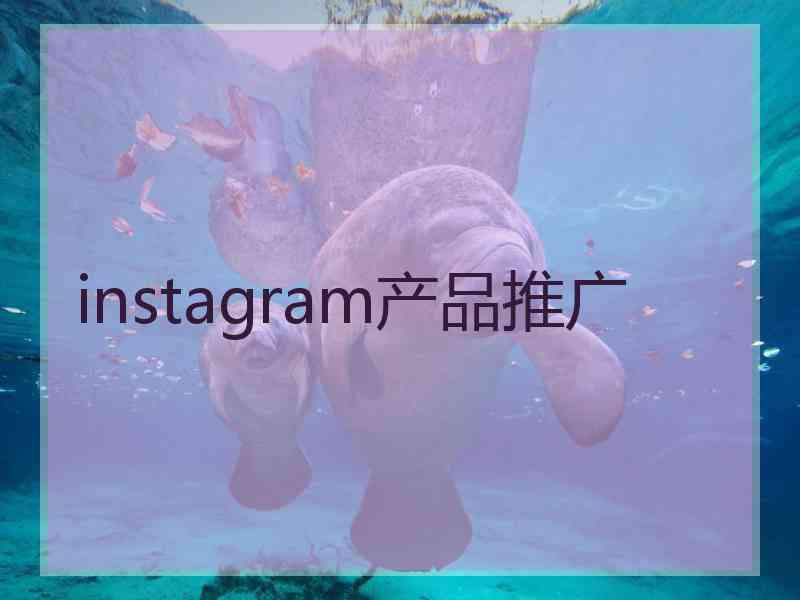 instagram产品推广