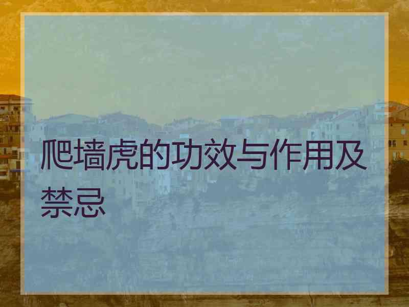 爬墙虎的功效与作用及禁忌