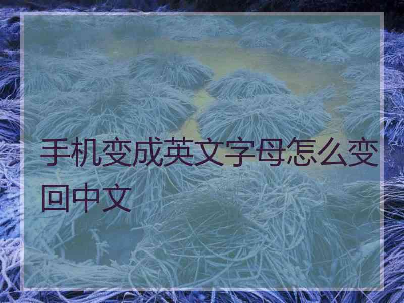 手机变成英文字母怎么变回中文