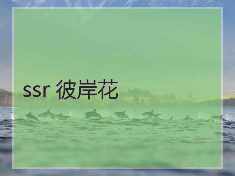 ssr 彼岸花