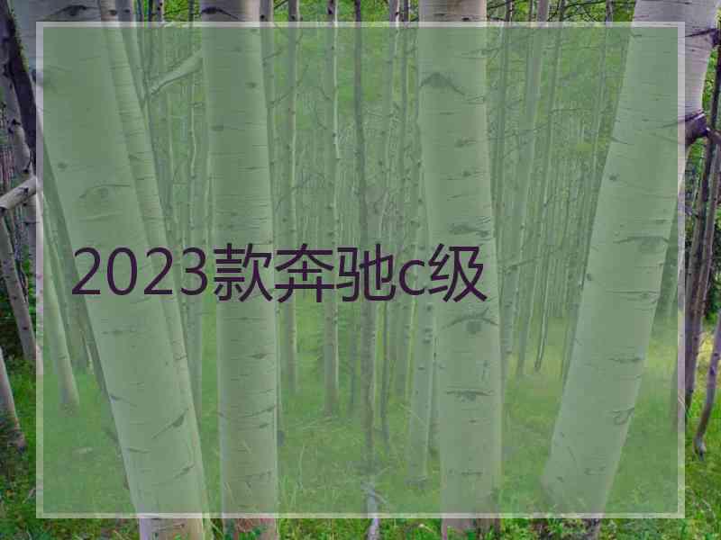 2023款奔驰c级
