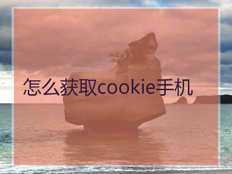 怎么获取cookie手机