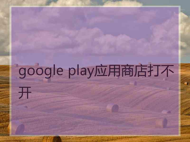 google play应用商店打不开