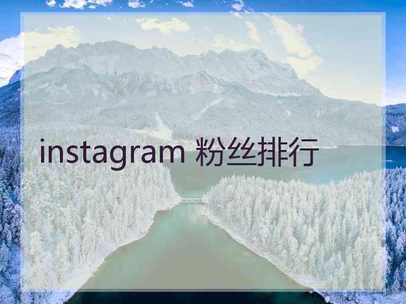 instagram 粉丝排行
