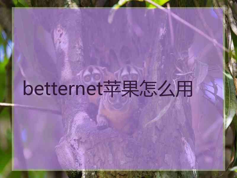 betternet苹果怎么用