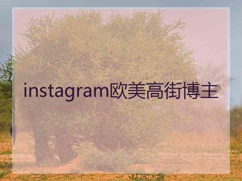 instagram欧美高街博主