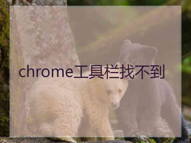 chrome工具栏找不到