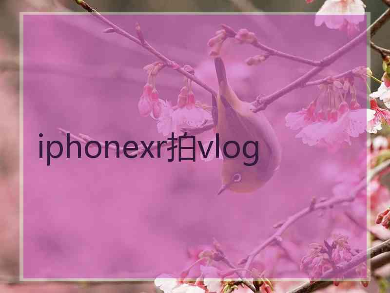 iphonexr拍vlog