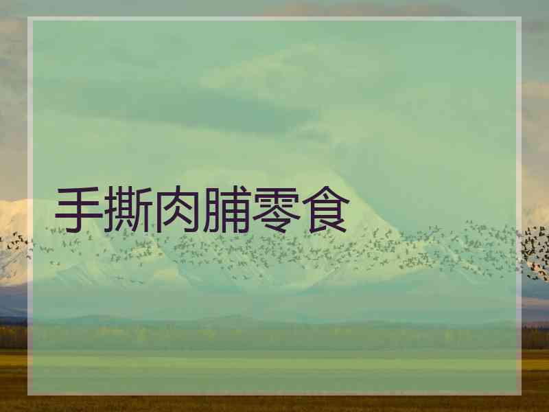 手撕肉脯零食