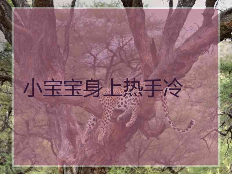 小宝宝身上热手冷