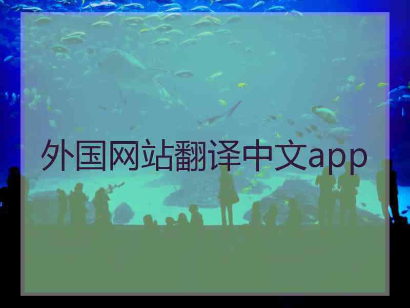 外国网站翻译中文app