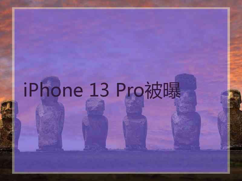 iPhone 13 Pro被曝