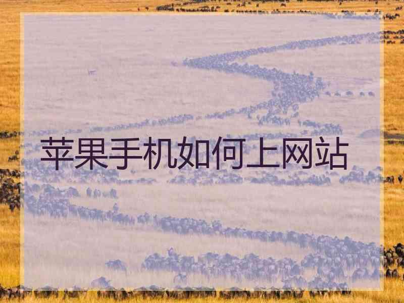 苹果手机如何上网站
