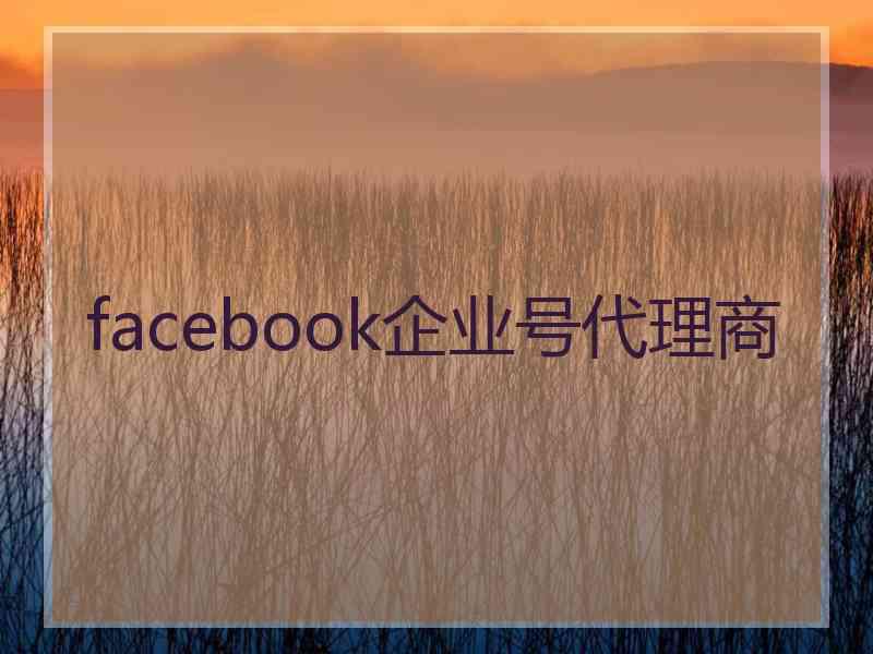 facebook企业号代理商