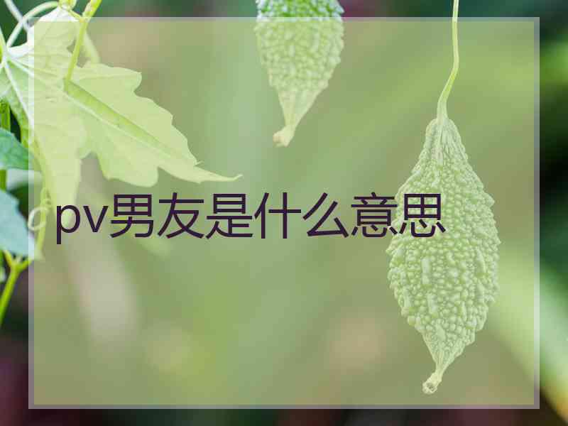 pv男友是什么意思