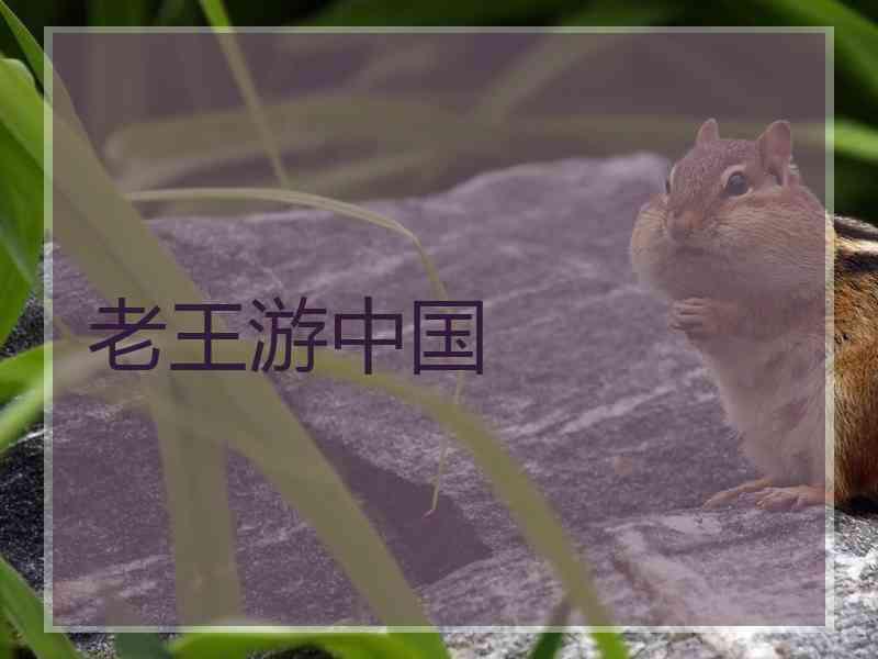 老王游中国