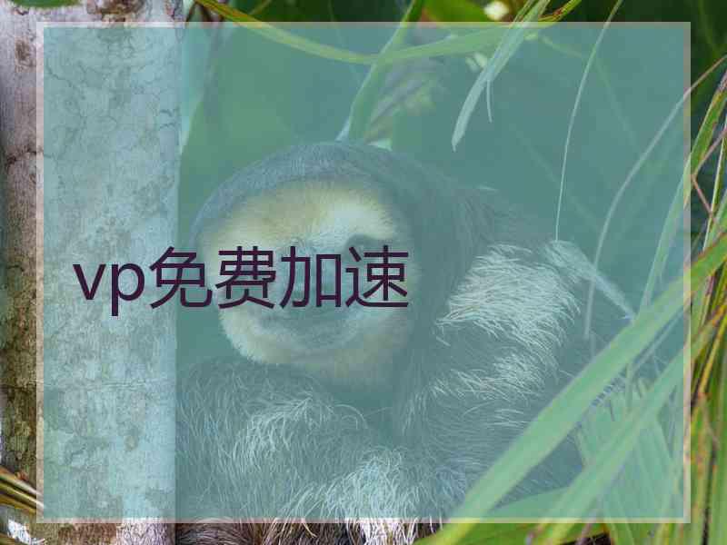 vp免费加速
