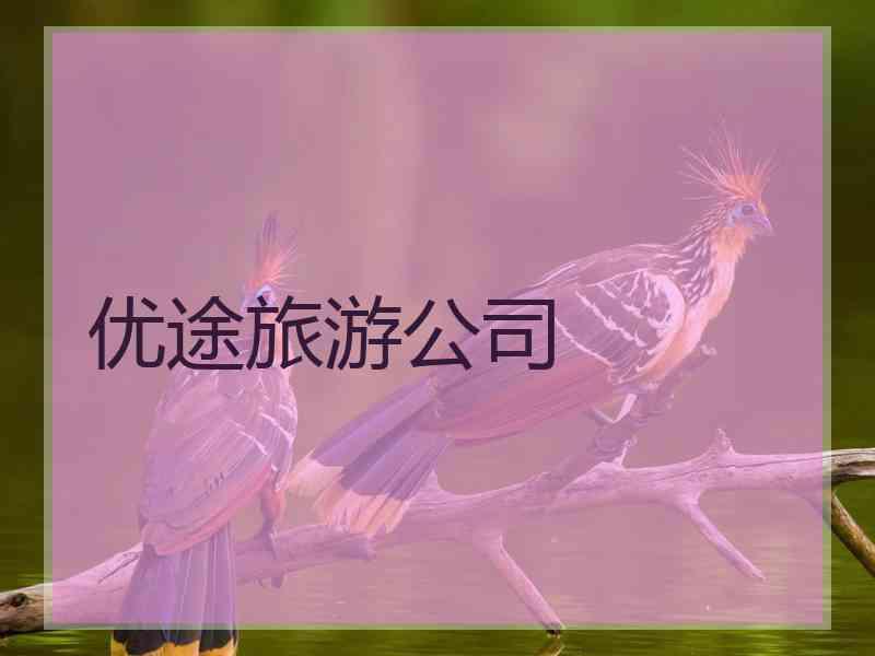 优途旅游公司