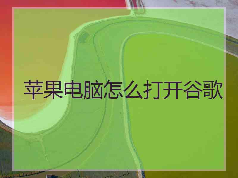 苹果电脑怎么打开谷歌