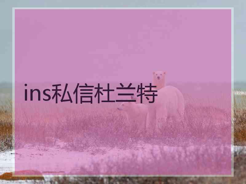 ins私信杜兰特