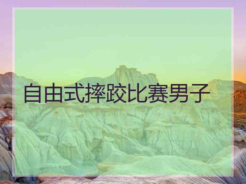 自由式摔跤比赛男子