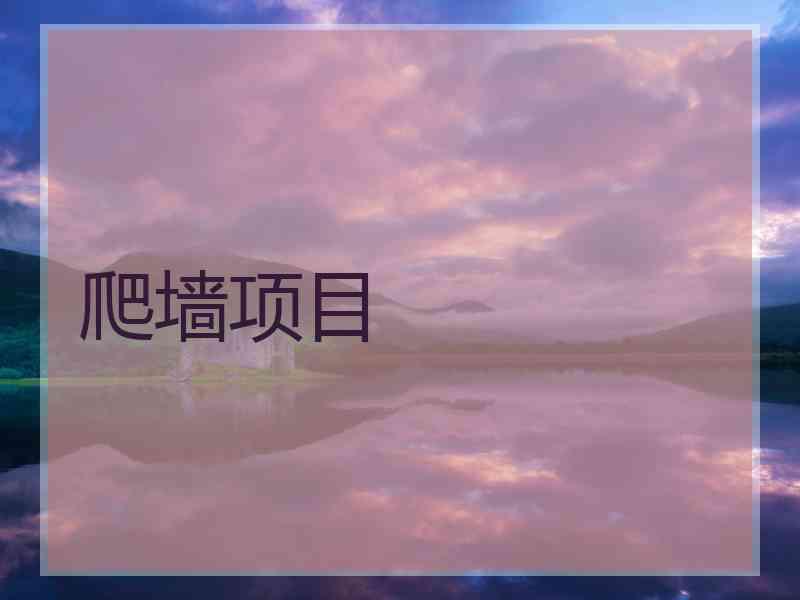 爬墙项目