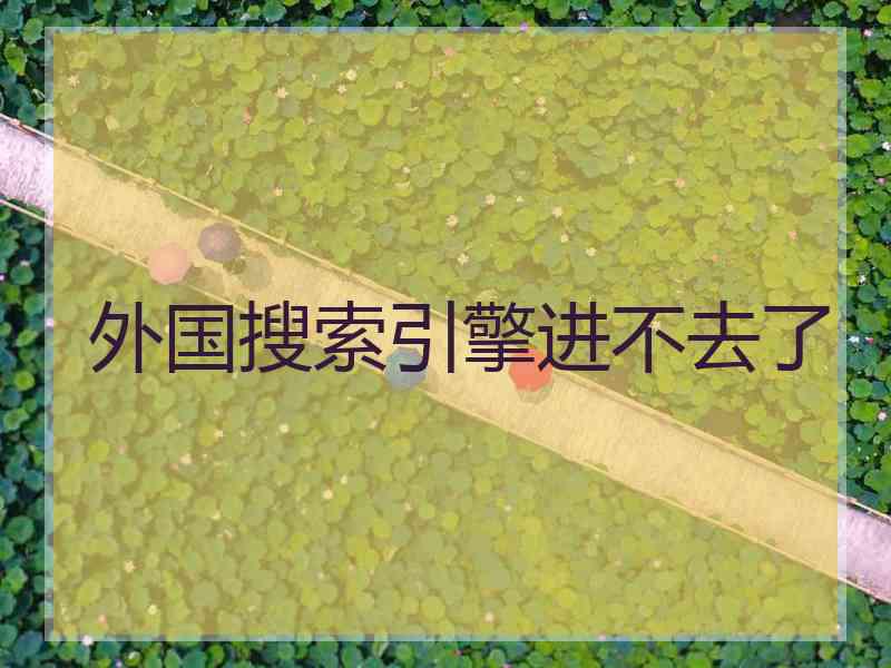 外国搜索引擎进不去了