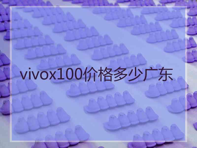 vivox100价格多少广东