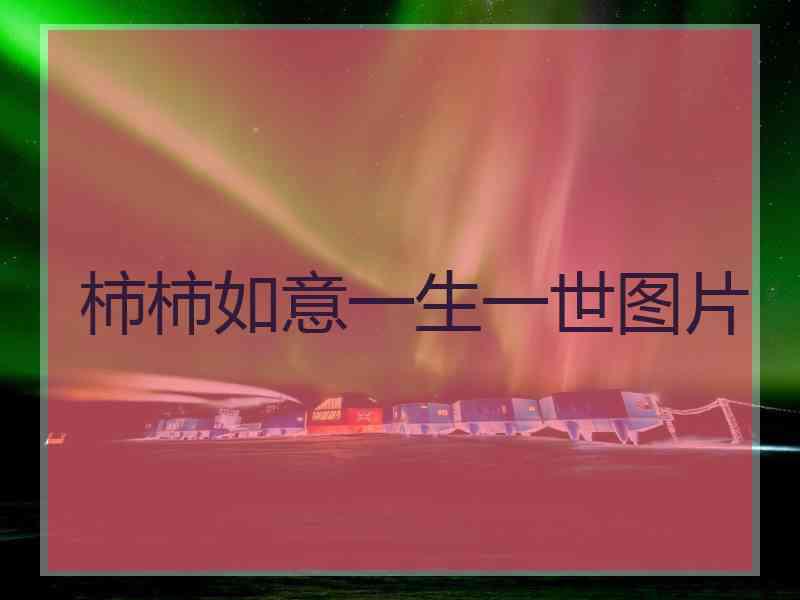 柿柿如意一生一世图片