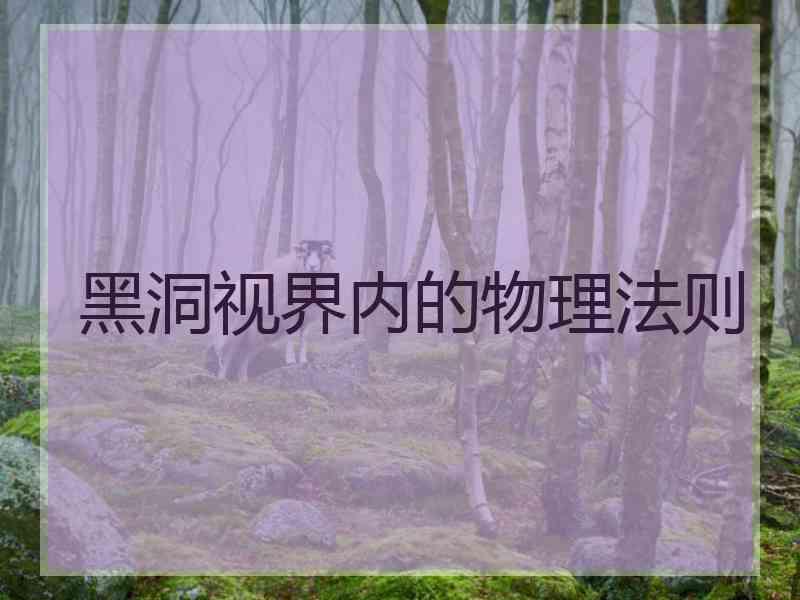 黑洞视界内的物理法则