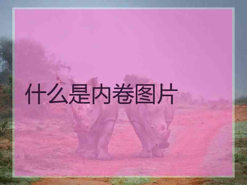 什么是内卷图片