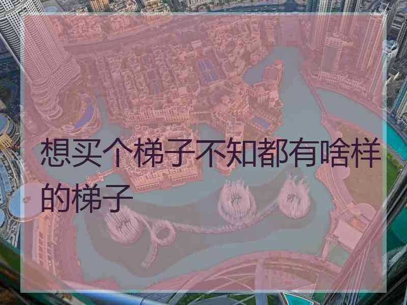 想买个梯子不知都有啥样的梯子