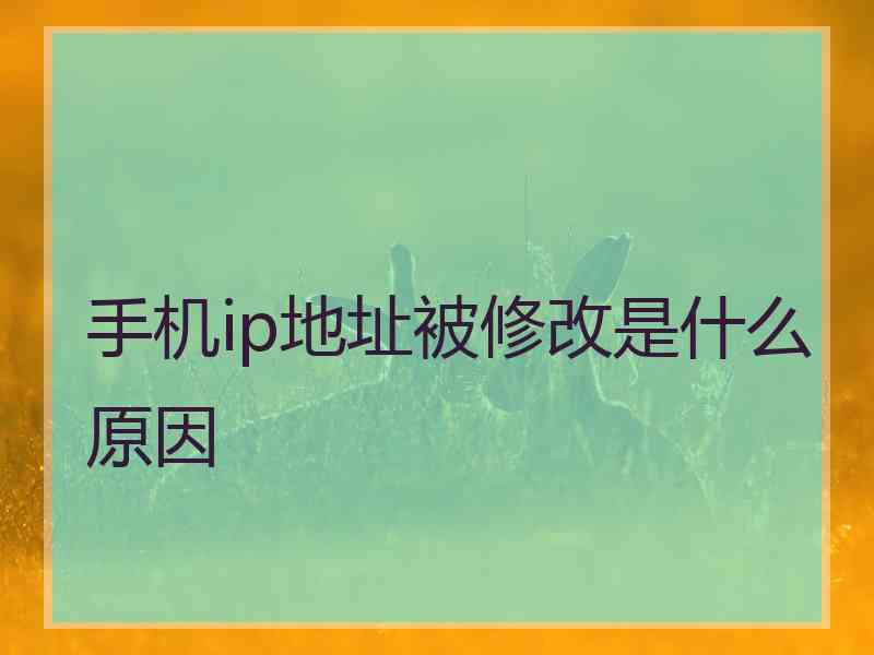 手机ip地址被修改是什么原因
