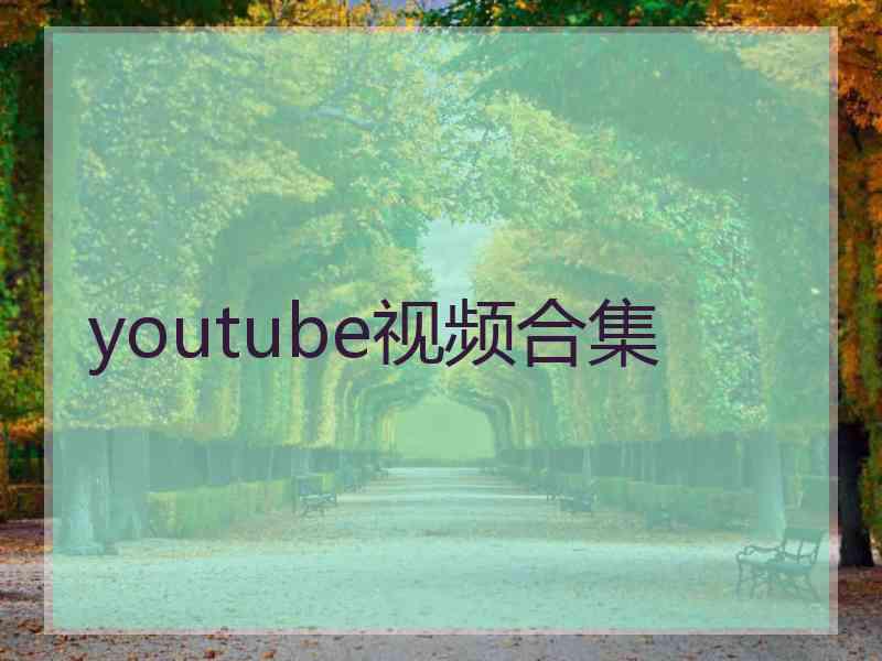 youtube视频合集