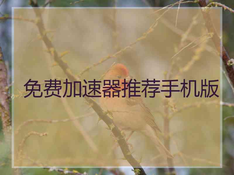 免费加速器推荐手机版