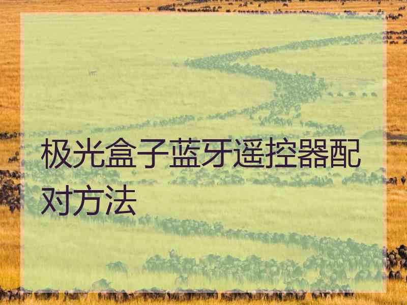 极光盒子蓝牙遥控器配对方法