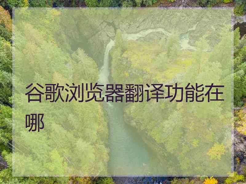 谷歌浏览器翻译功能在哪