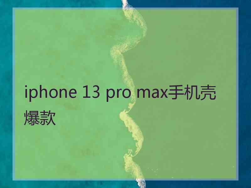 iphone 13 pro max手机壳爆款