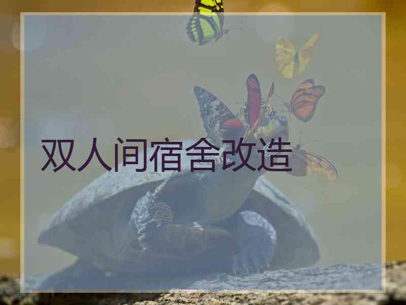 双人间宿舍改造