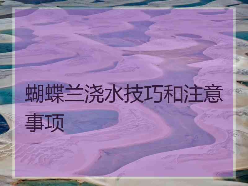 蝴蝶兰浇水技巧和注意事项