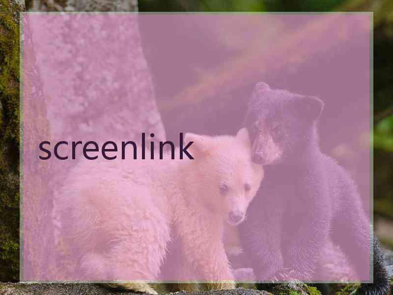 screenlink