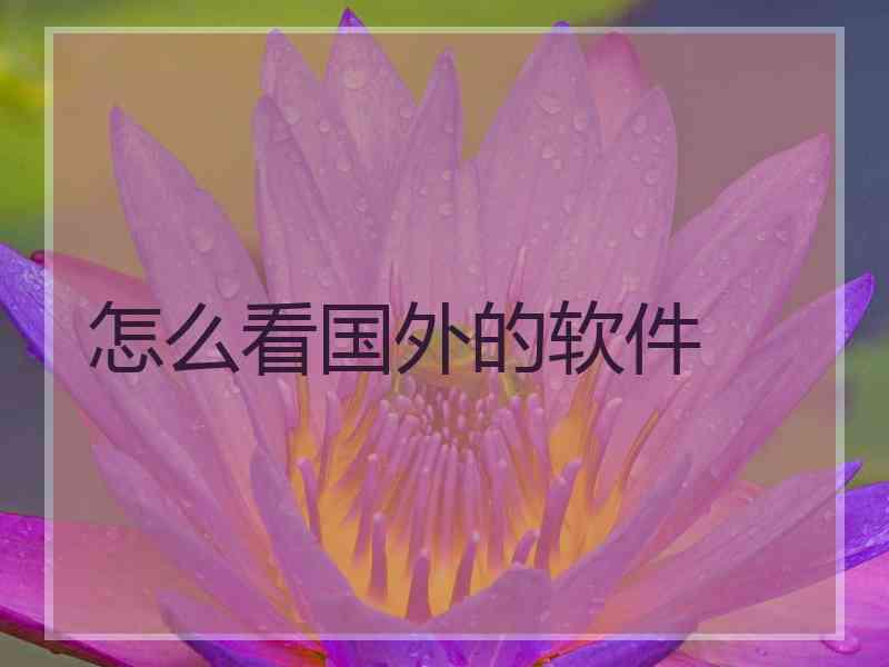 怎么看国外的软件