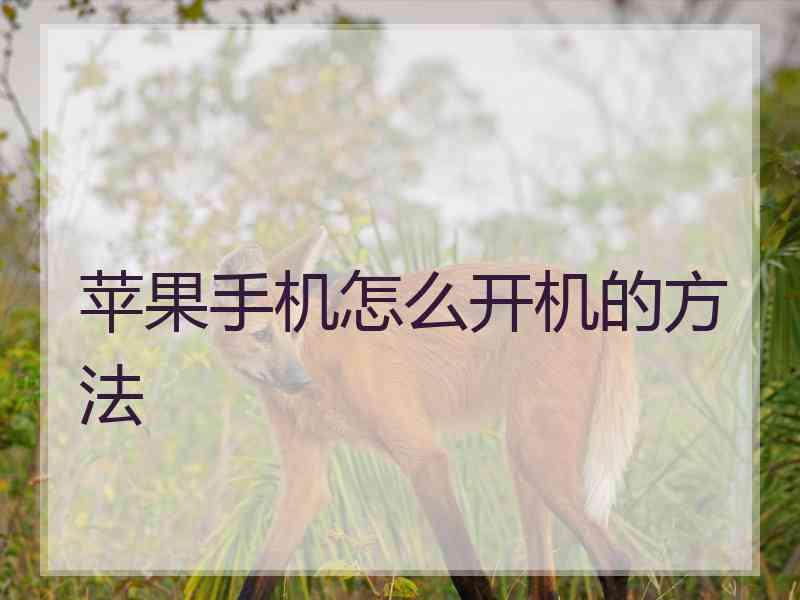 苹果手机怎么开机的方法